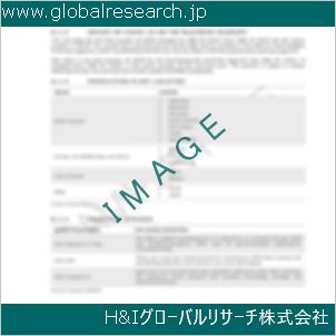 グローバルリサーチ調査資料のイメージ